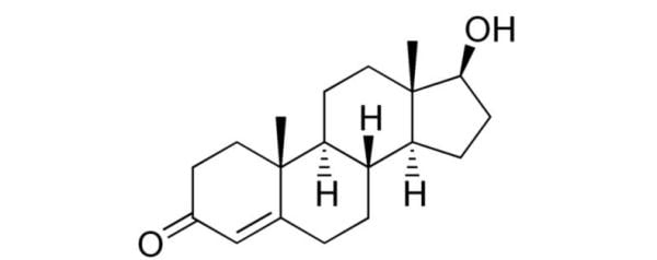 testosteron