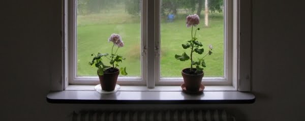 achter de geraniums zitten