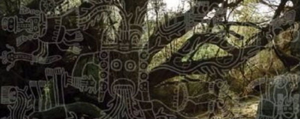 The Lost Woodlands of Ancient Nasca - banner