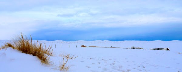 ontdooiende permafrost herbergt broeikasbacteriën