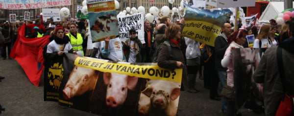 Demonstratie op de Dam