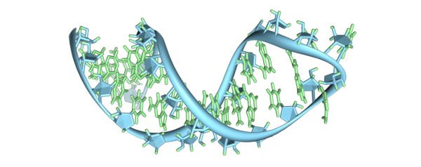 Pre-mRNA