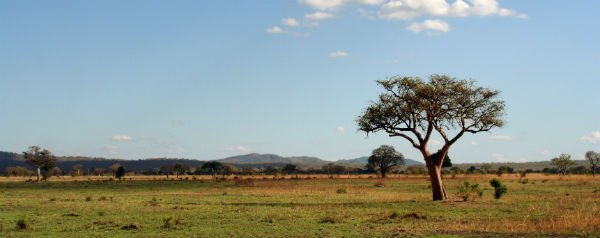 Tanzania