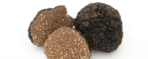 Truffels