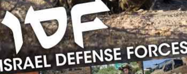 Military Fact Files - IDF