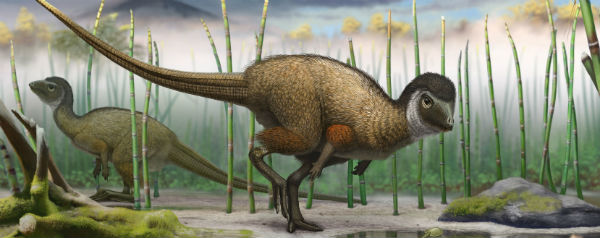 Ornithischia