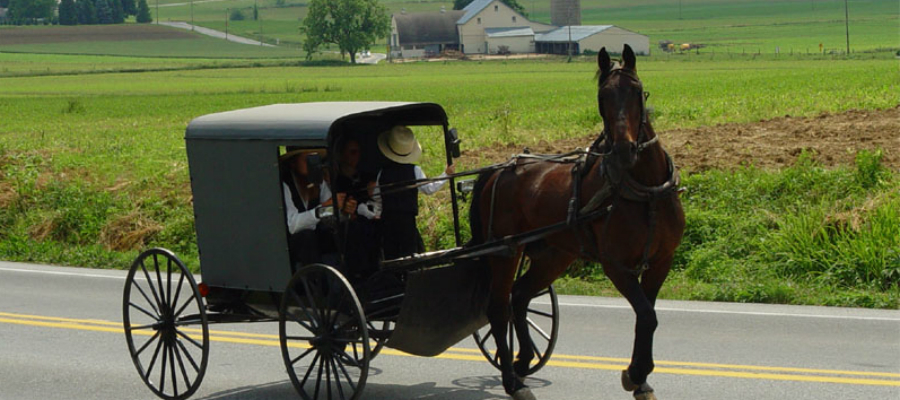 Amish