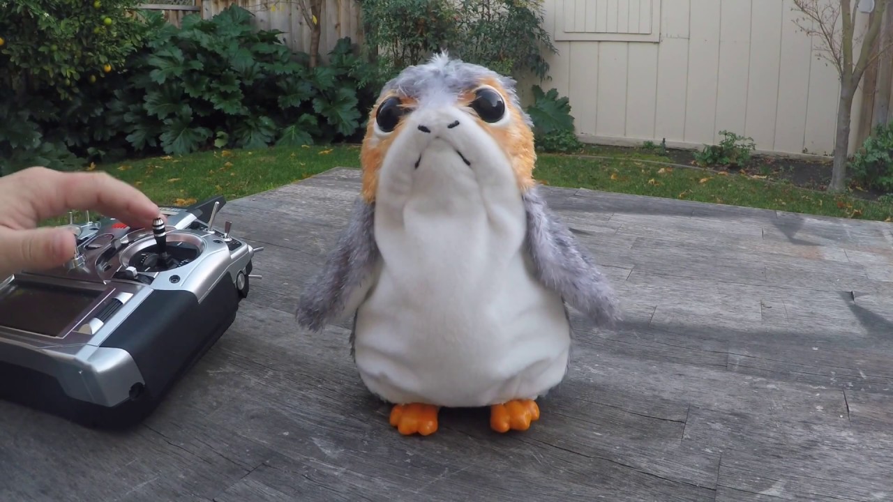 porgbot