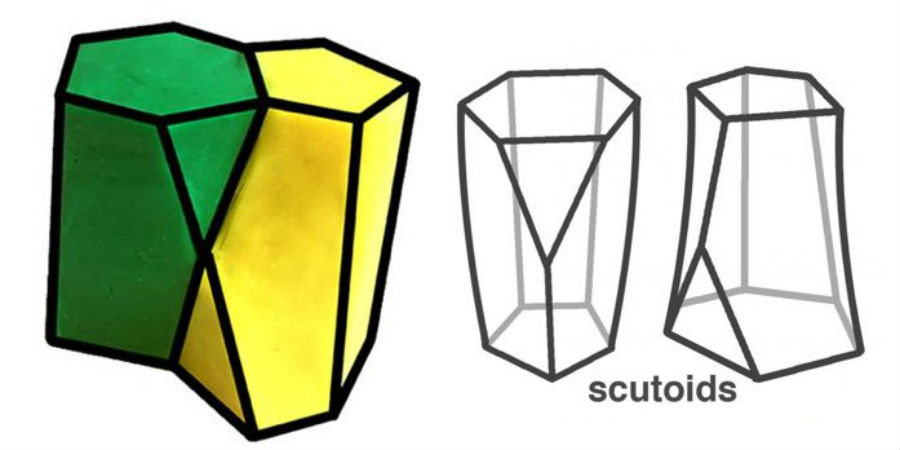 geometrische vorm scutoid