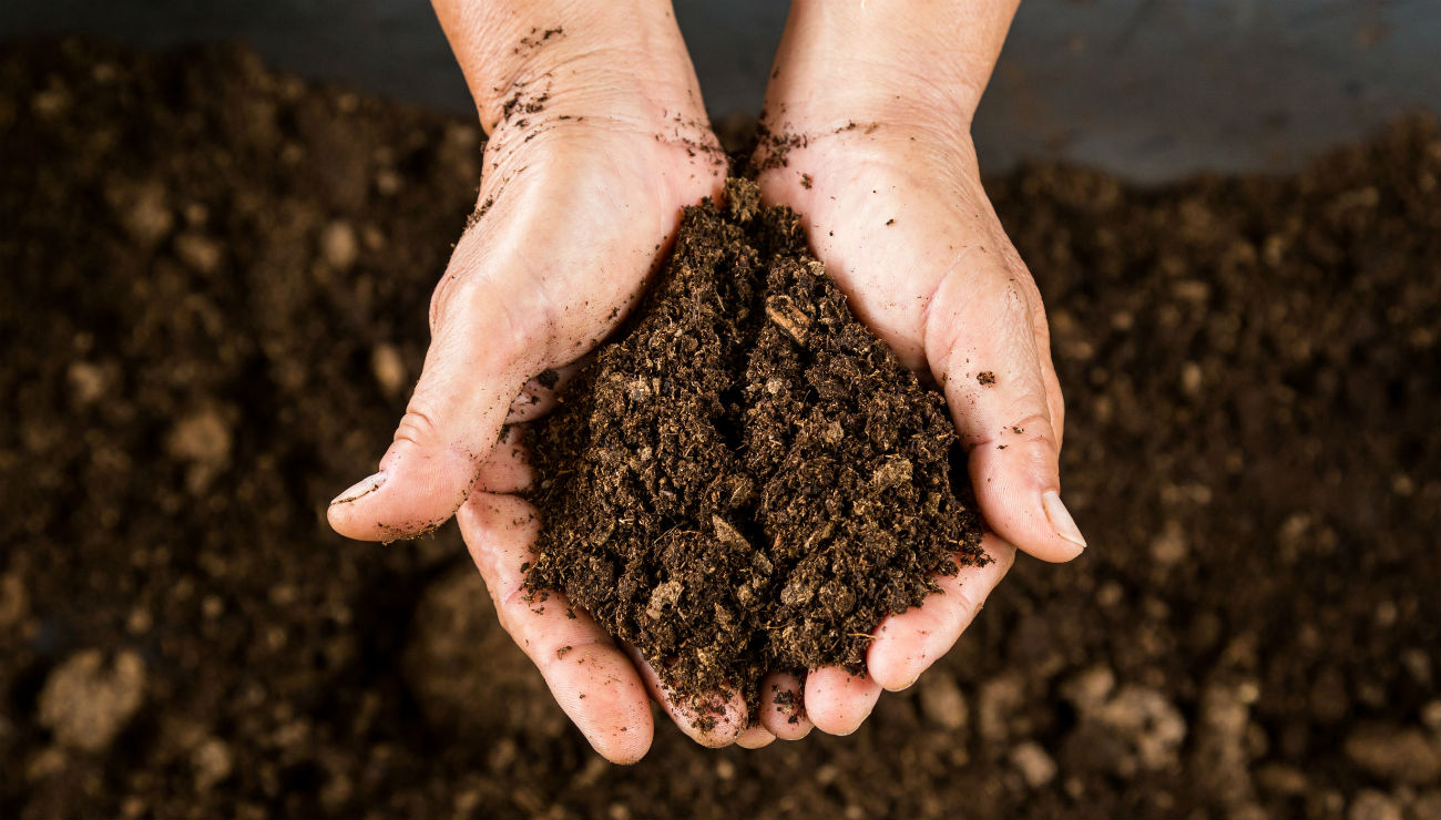 menselijk compost