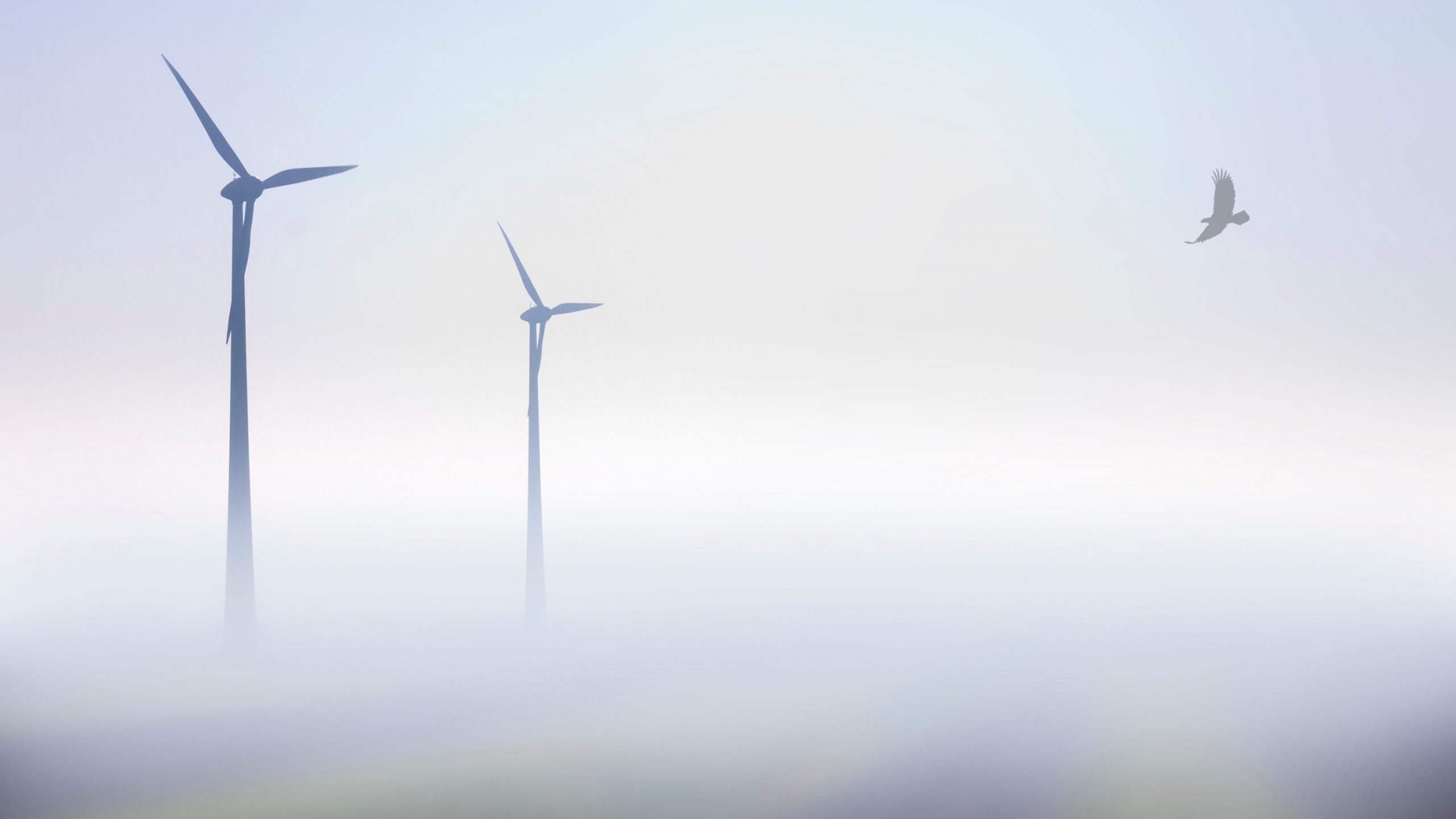 windturbine IdentiFlight