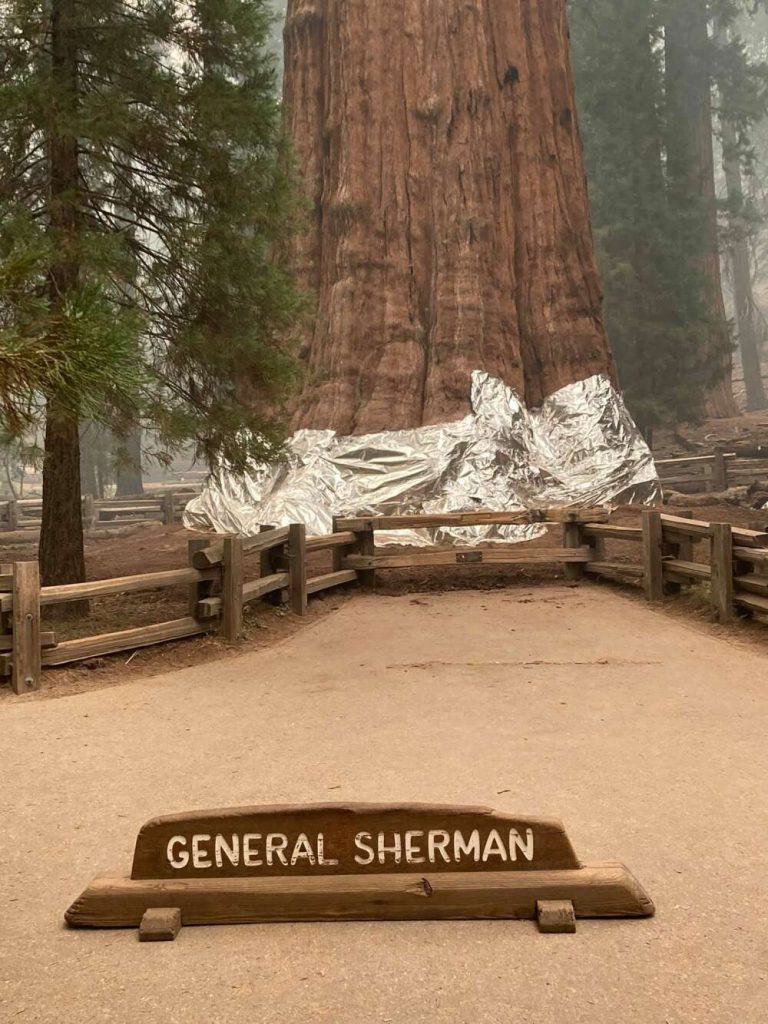 general sherman