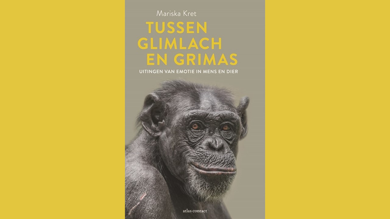 tussen glimlach en grimas