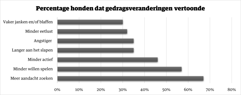 rouwen honden?