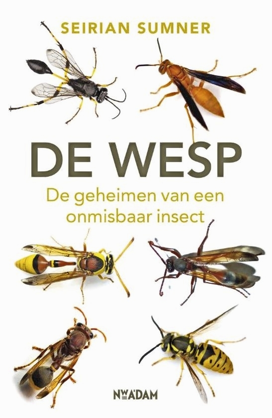 boek de wesp