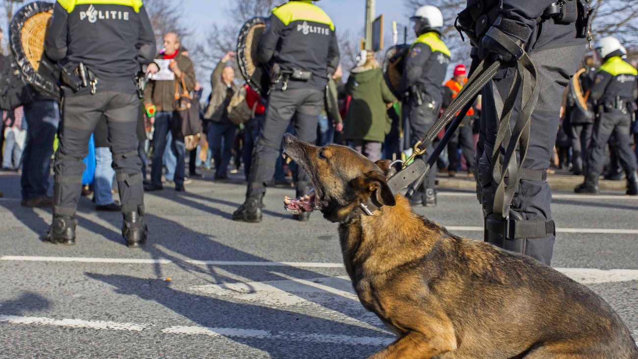 politiehonden