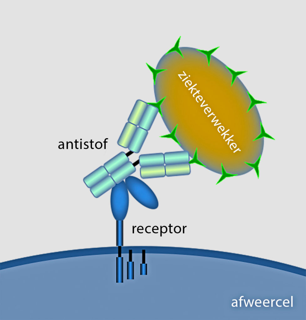 antistoffen