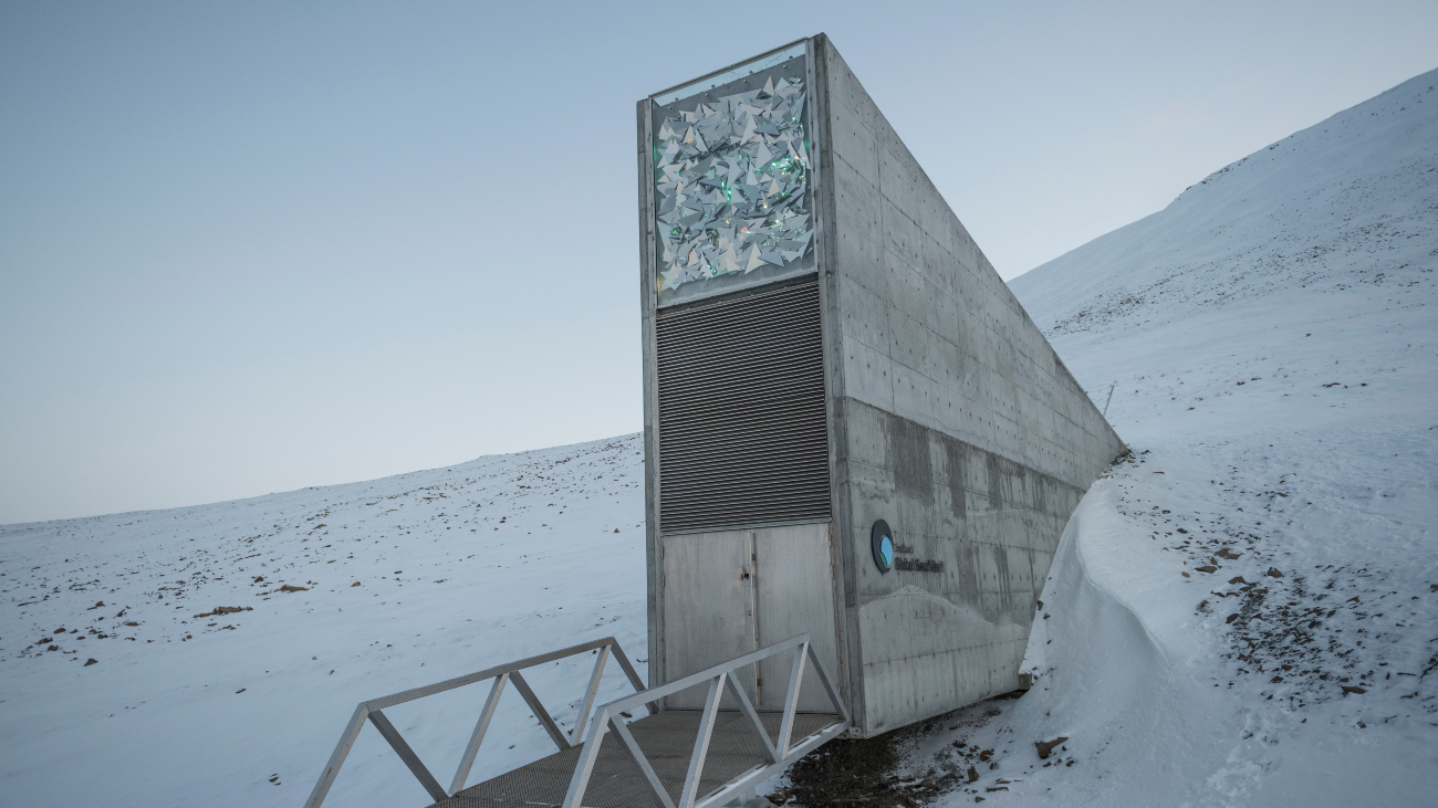 Zadenbank in Spitsbergen