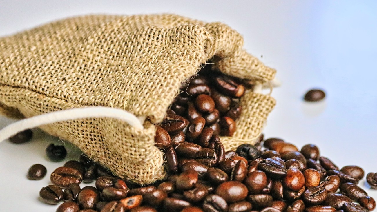 Het verschil tussen arabica en robusta