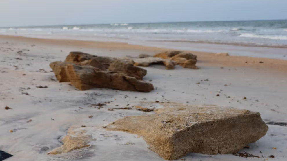 DNA op strand