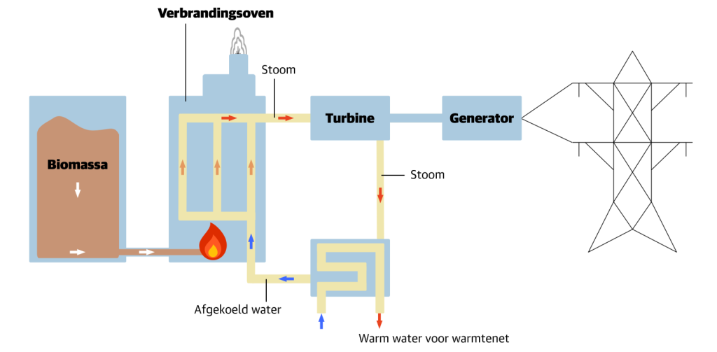 infographic die de werking van een biomassacentrale uitlegt