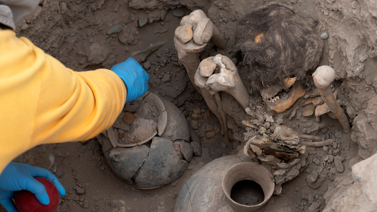 Archeoloog graaft een mummie met haar uit