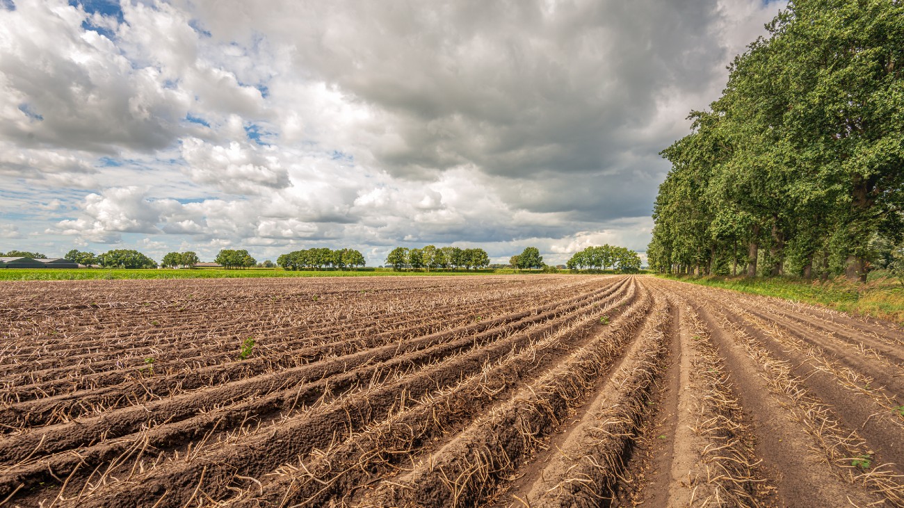 Droge en verdorde landbouwgrond