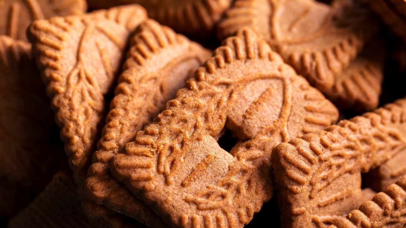 het verschil tussen speculaas en speculoos