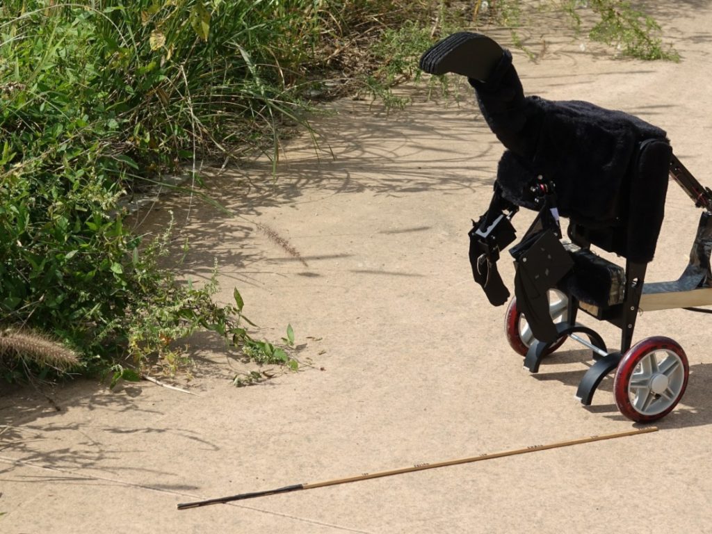 robotdinosauriër op straat